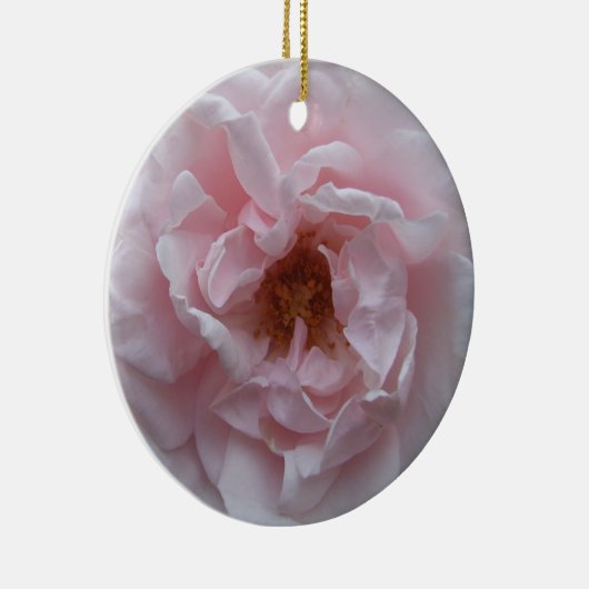 Ornament - Rosa Rose blush (Rechts)