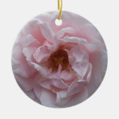 Ornament - Rosa Rose blush (Vorne)