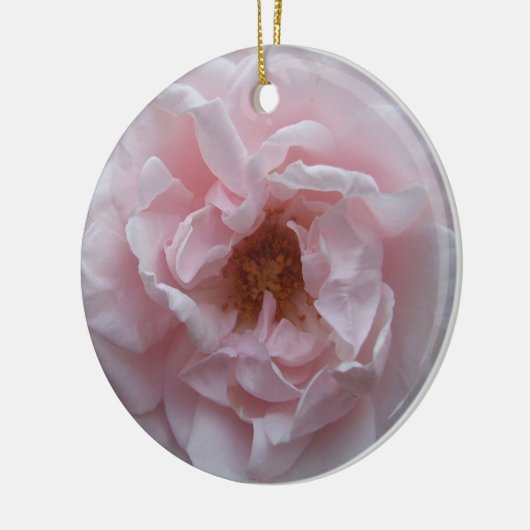 Ornament - Rosa Rose blush (Links)