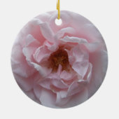 Ornament - Rosa Rose blush (Hinten)