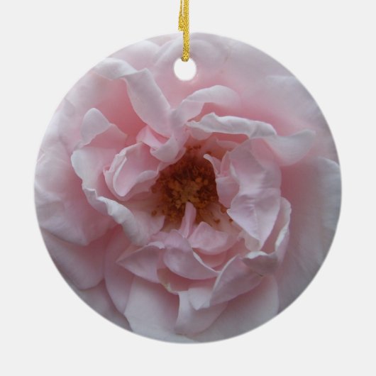 Ornament - Rosa Rose blush (Hinten)