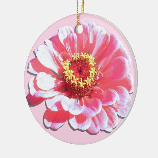 Ornament - Rosa Zinnia (Links)