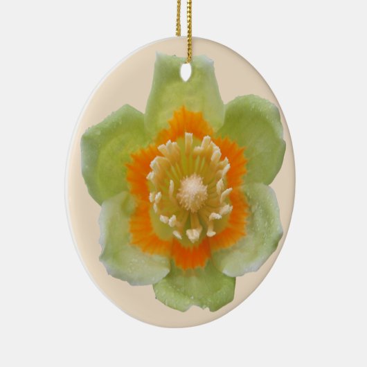 Ornament - Tulip Poplar Tulip auf Cream (Rechts)