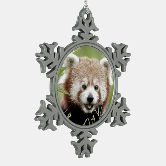 Ornament. Weihnachten roter Panda, Panda roux. Schneeflocken Zinn-Ornament (Links)
