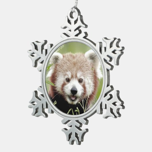 Ornament. Weihnachten roter Panda, Panda roux. Schneeflocken Zinn-Ornament (Rechts)