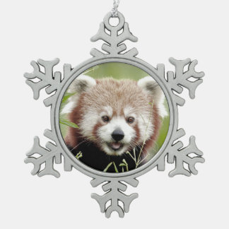 Ornament. Weihnachten roter Panda, Panda roux. Schneeflocken Zinn-Ornament