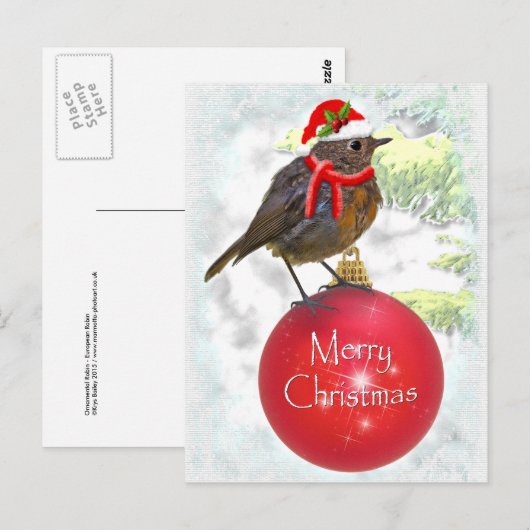 Ornamental Robin Postcard Postkarte (Vorne/Hinten)