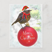 Ornamental Robin Postcard Postkarte (Vorderseite)