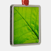 Ornamente aus grünen Blättern (Rechts)