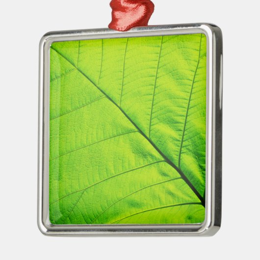 Ornamente aus grünen Blättern (Links)