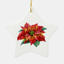 OrnamentKeramik, Star-Ornament, Feiertagssjubeln,