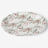 Ornaments Pine Candy Canes Festive Christmas Pappteller (Schrägansicht)