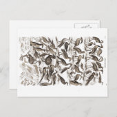 Ornithologie Postkarte (Vorne/Hinten)