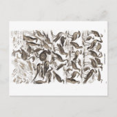 Ornithologie Postkarte (Vorderseite)