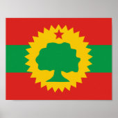 Oromo Flag Poster (Vorne)