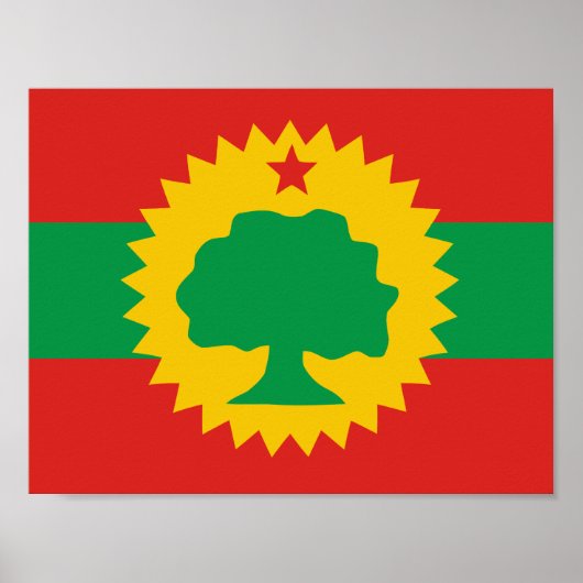 Oromo Flag Poster (Vorne)