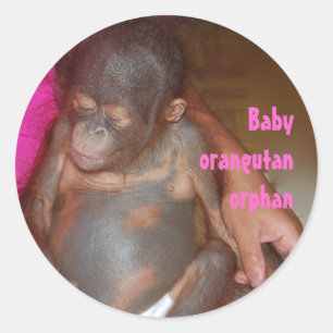 Orphan Baby Animals Orangutan Runder Aufkleber