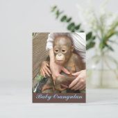 Orphan Baby Orangutan Postkarte (Stehend Vorderseite)