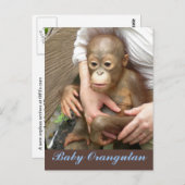Orphan Baby Orangutan Postkarte (Vorne/Hinten)