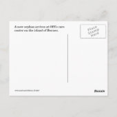 Orphan Baby Orangutan Postkarte (Rückseite)