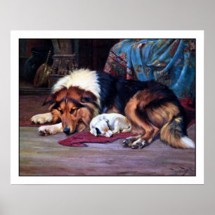 Orphan Hund mit Collie - Vintage Kunstdruckerei Poster