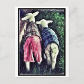 Orphan Lamb Postkarte (Vorderseite)