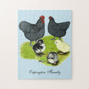 Orpington Blaue Hühnerfamilie Puzzle