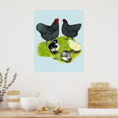 Orpington Blue Chicken Family Poster (Küche)