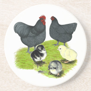 Orpington Blue Chicken Family Untersetzer