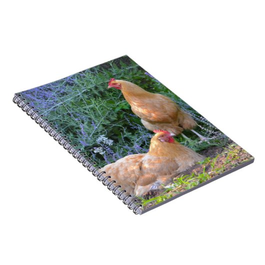Orpington Hen-Notebook Notizblock (Rechte Seite)