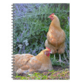 Orpington Hen-Notebook Notizblock (Vorderseite)