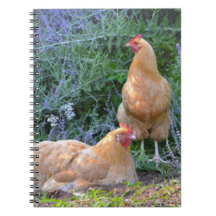 Orpington Hen-Notebook Notizblock