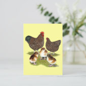 Orpington Jubilee Chicken Family Postkarte (Stehend Vorderseite)