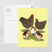 Orpington Jubilee Chicken Family Postkarte (Vorne/Hinten)