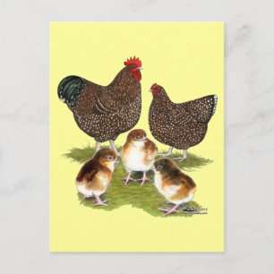 Orpington Jubilee Chicken Family Postkarte