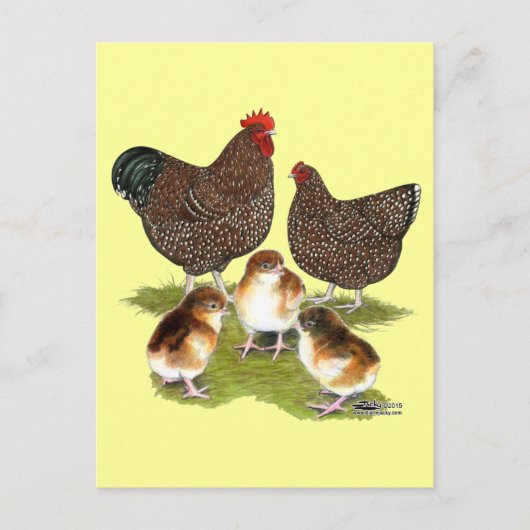 Orpington Jubilee Chicken Family Postkarte (Vorderseite)