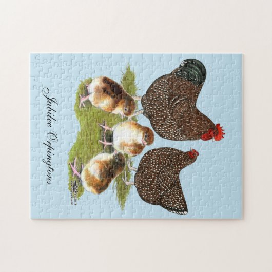 Orpington Jubilee Chicken Family Puzzle (Horizontal)