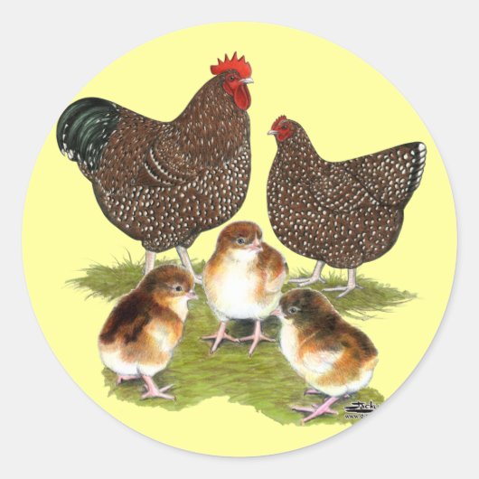 Orpington Jubilee Chicken Family Runder Aufkleber (Vorderseite)