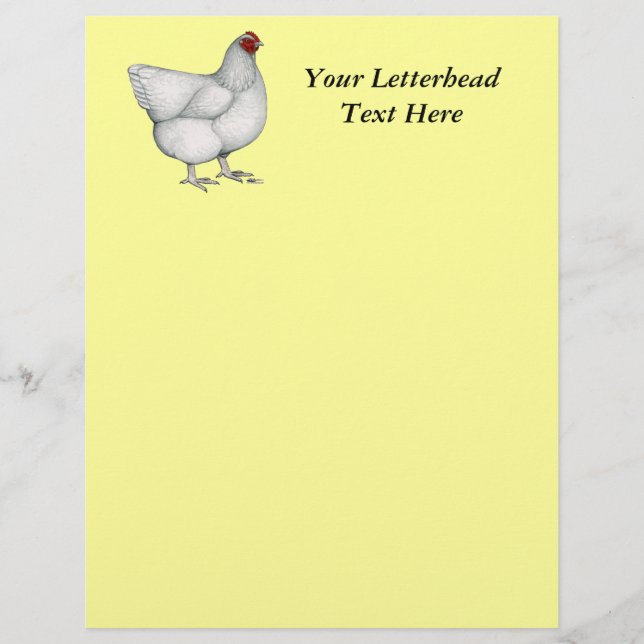 Orpington White Hen (Vorderseite)