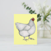 Orpington White Hen Postkarte (Stehend Vorderseite)
