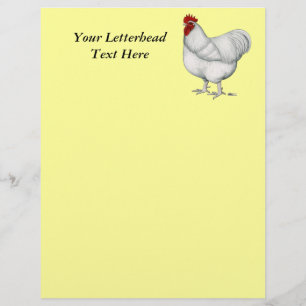 Orpington White Rooster