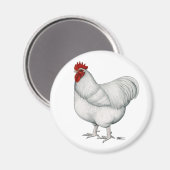 Orpington White Rooster Magnet (Vorderseite/Rückseite)