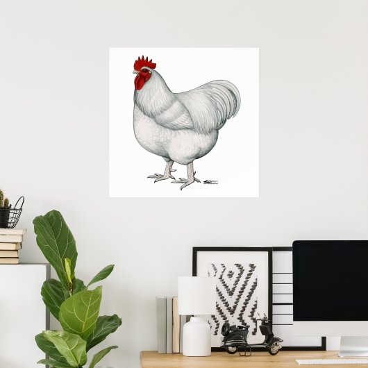 Orpington White Rooster Poster (Heimbüro)