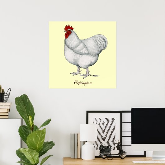 Orpington White Rooster Poster (Heimbüro)