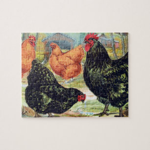 "Orpingtons~Chicken " Puzzle