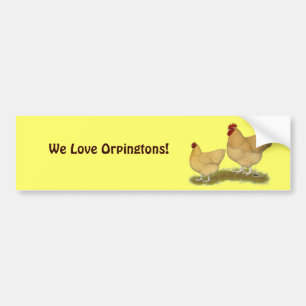Orpingtons Lemon Cuckoo Autoaufkleber