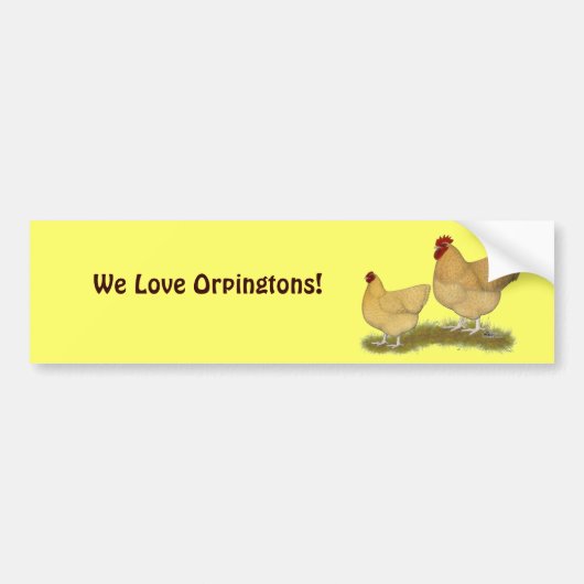 Orpingtons Lemon Cuckoo Autoaufkleber (Vorne)