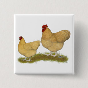 Orpingtons Lemon Cuckoo Button