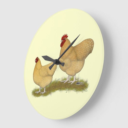 Orpingtons Lemon Cuckoo Große Wanduhr (Winkel)