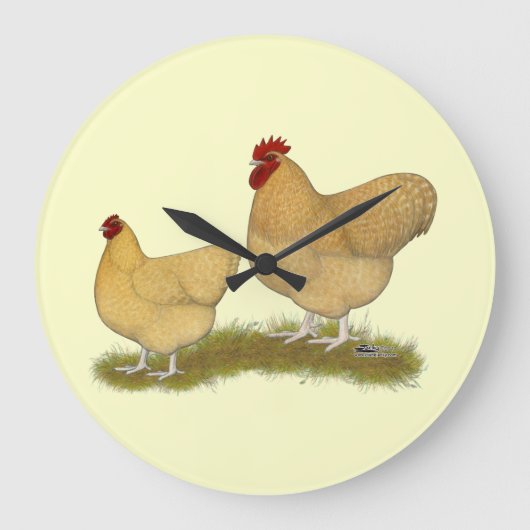 Orpingtons Lemon Cuckoo Große Wanduhr (Vorderseite)